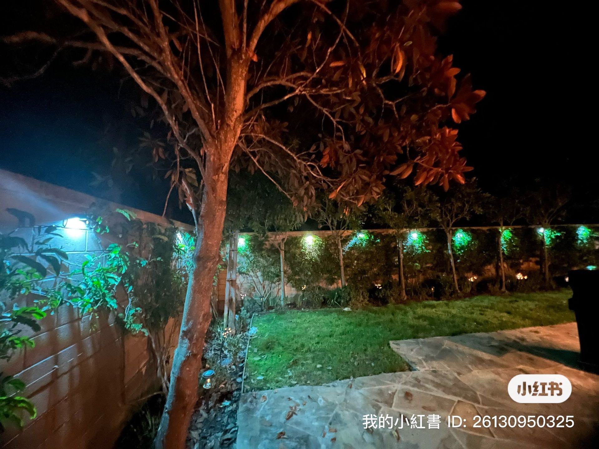 A nighttime view of a grassy yard with green string lights illuminating a fence, next to a tree and stone patio.