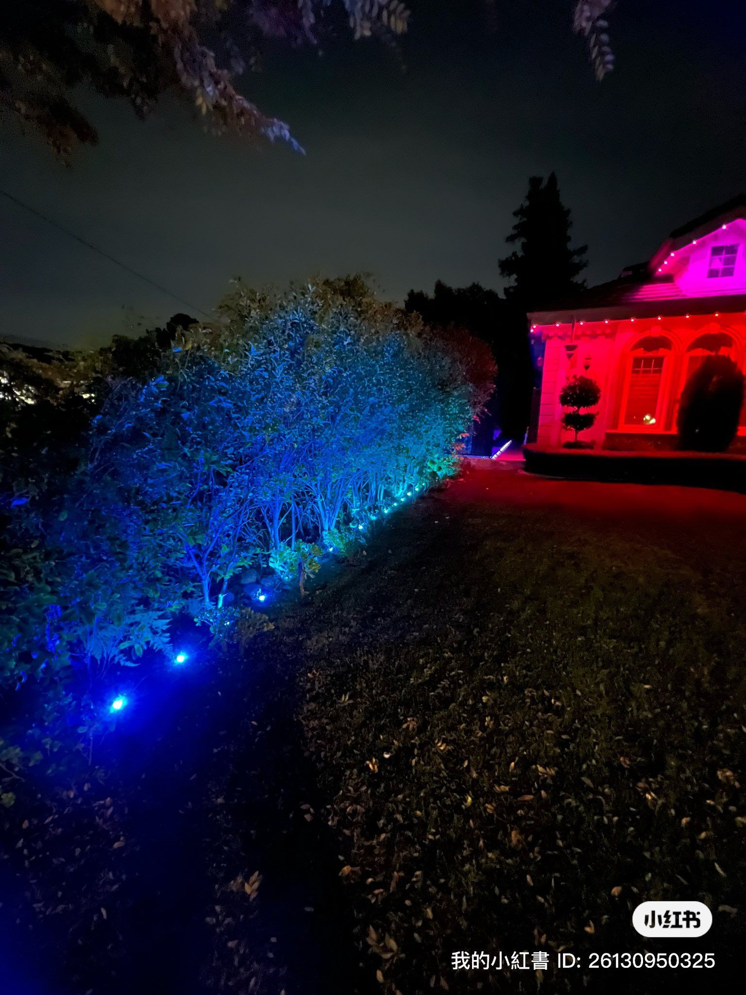 A house illuminated with red lights sits next to a hedge glowing with bright blue landscape spotlights at night.