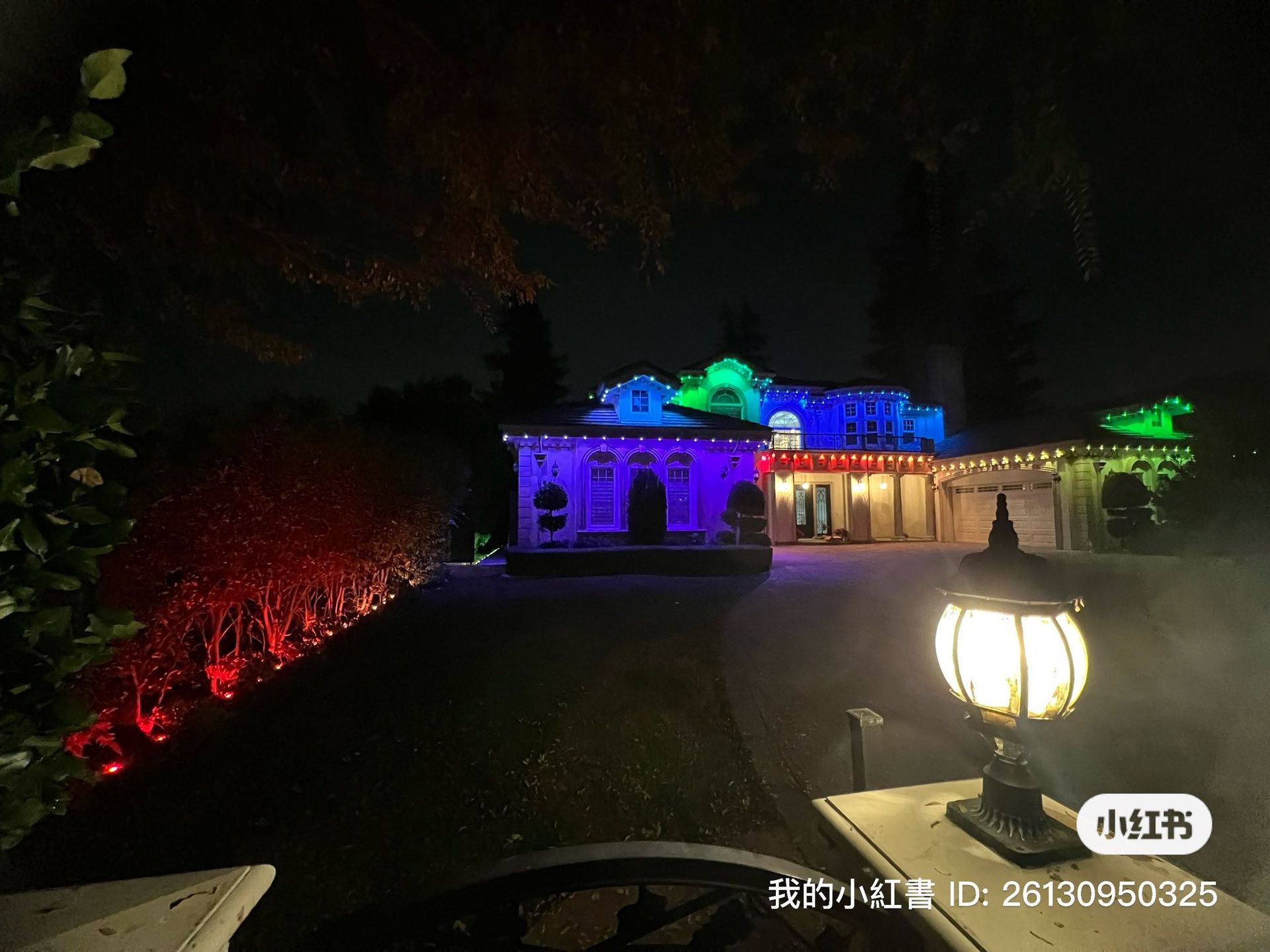 A house at night illuminated with colorful holiday lights, featuring red landscaping and a glowing outdoor lamp.