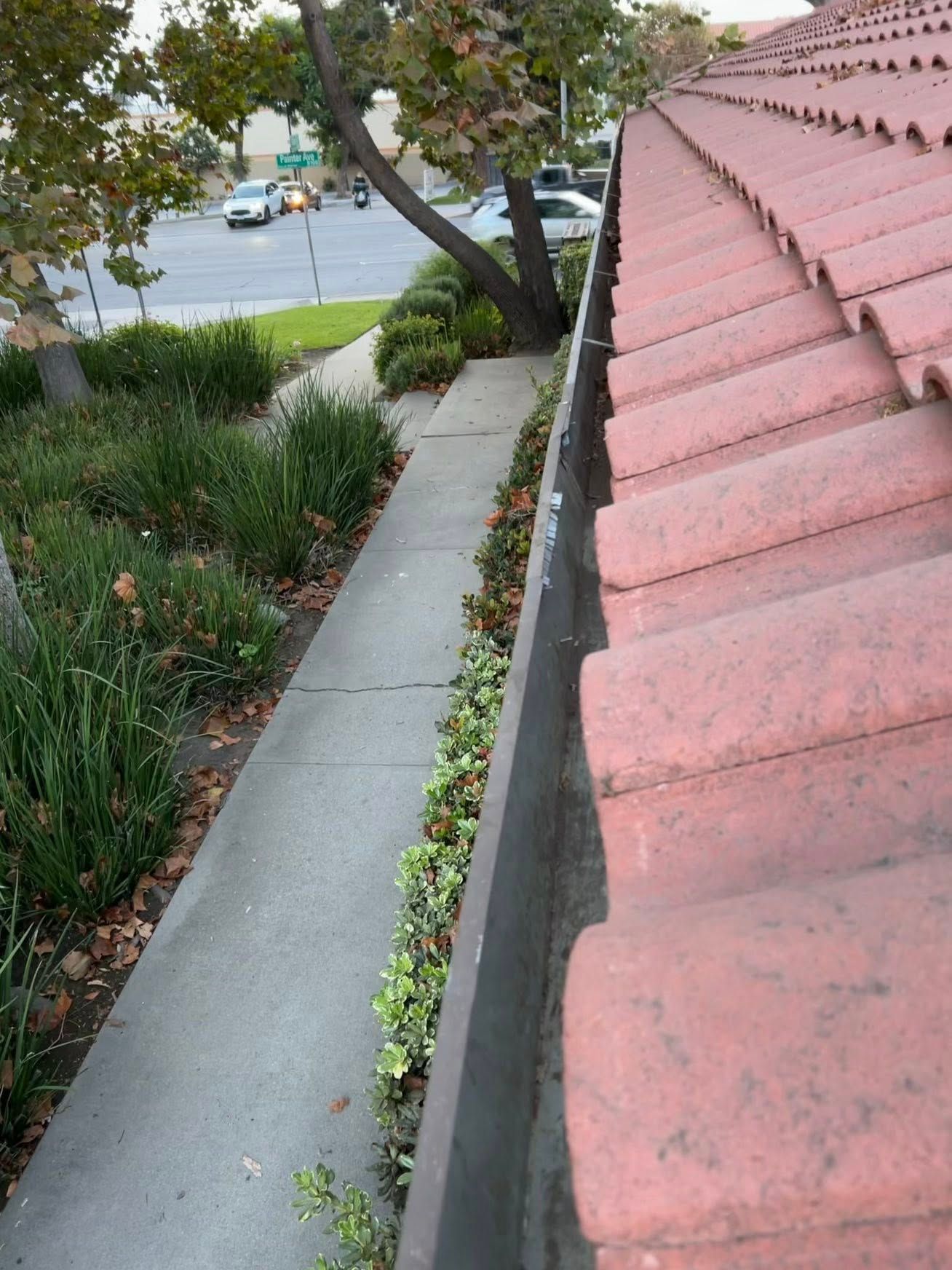 A high-angle view of a red tiled roof edge next to a narrow concrete walkway lined with greenery and a tree.