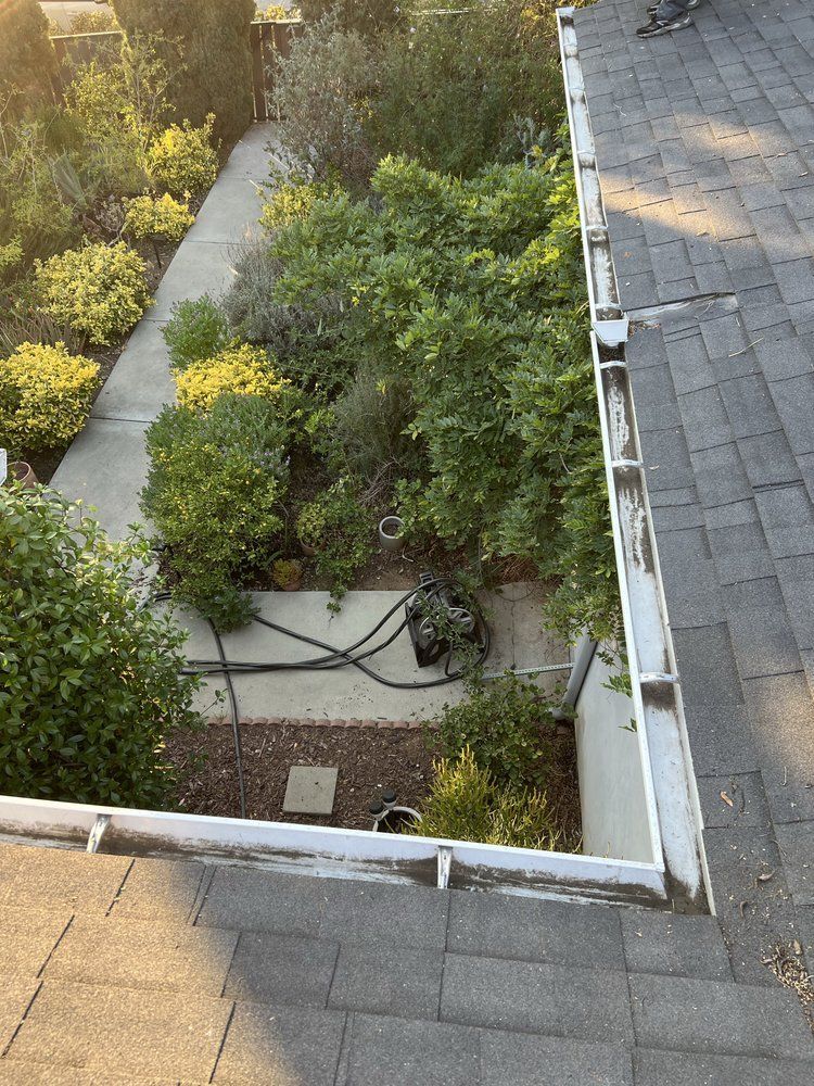 A view from a roof looking down at a house gutter, a concrete walkway, and surrounding green shrubs and trees.