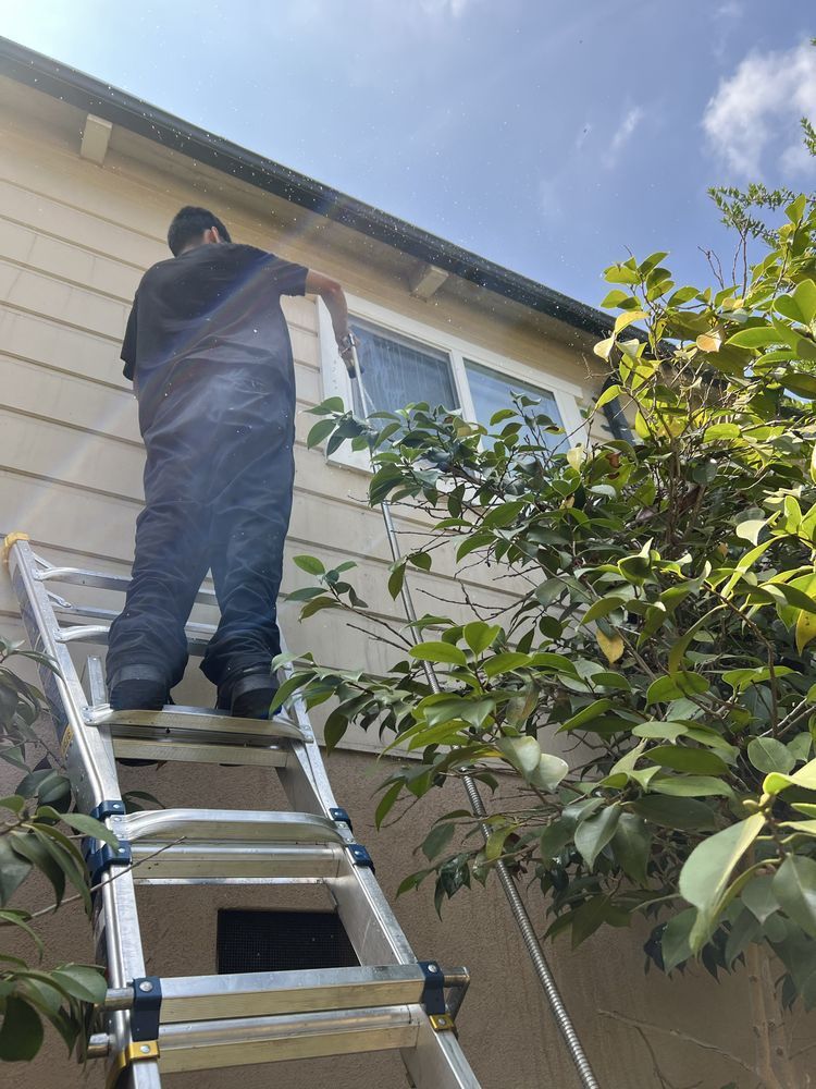 A person standing on an extension ladder cleaning a window on the side of a tan house.