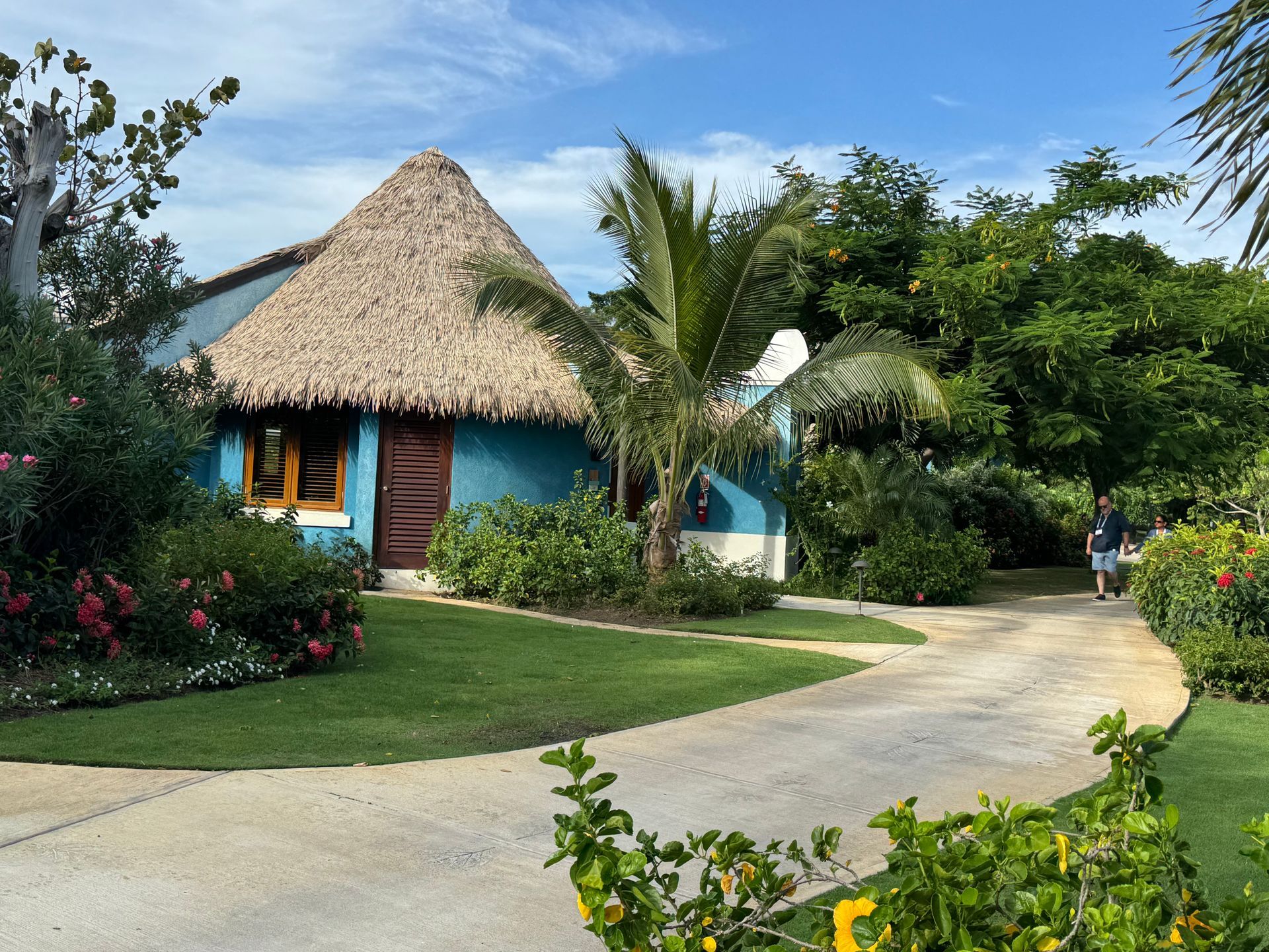 Blue-walled hut with thatched roof in a tropical setting, palm trees, green grass, person walking on path.