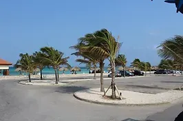 A parking lot next to a beach with palm trees blowing in the wind.