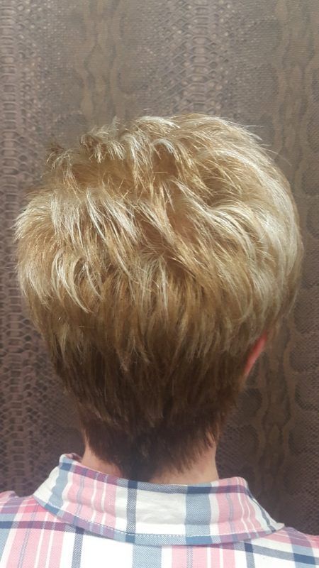 La parte posterior de la cabeza de una persona con cabello rubio corto y una camisa a cuadros.