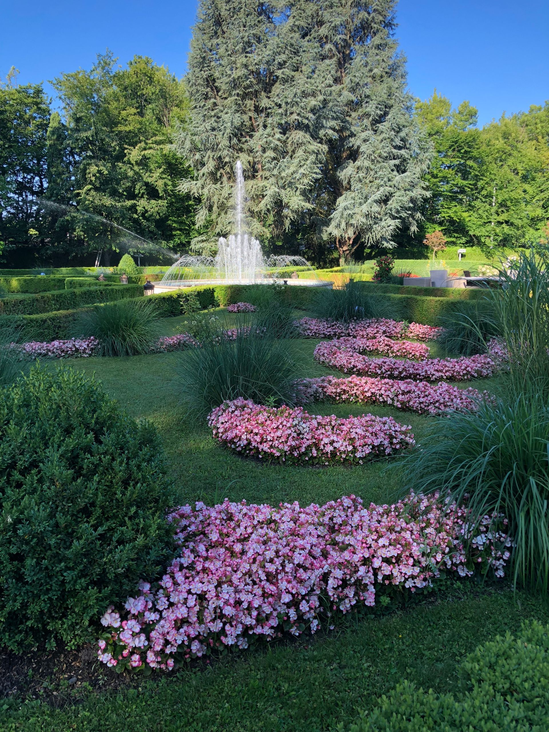 un jardin avec beaucoup de fleurs roses et une fontaine en arrière-plan .