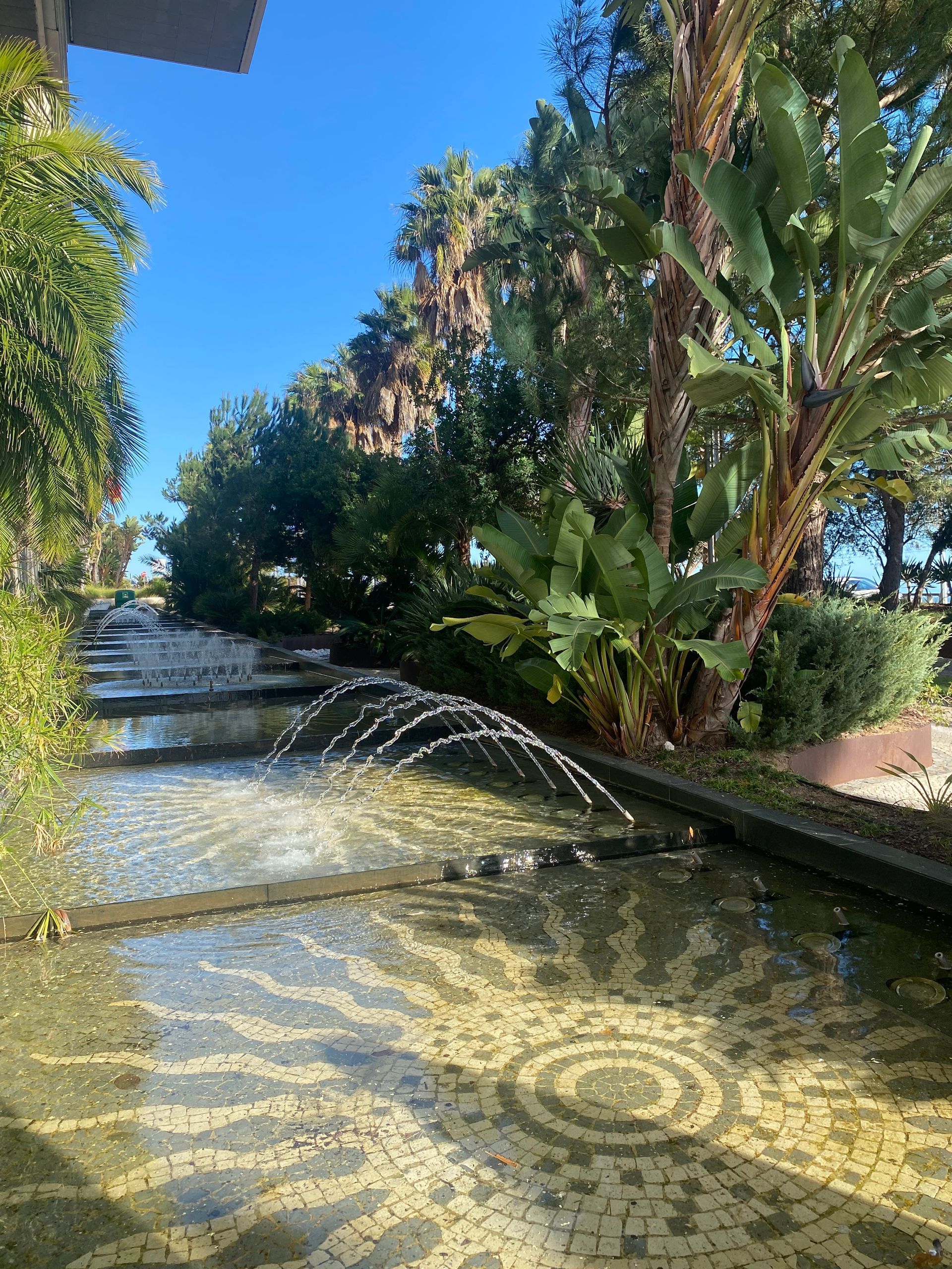 une fontaine dans un jardin entouré d' arbres et de plantes .