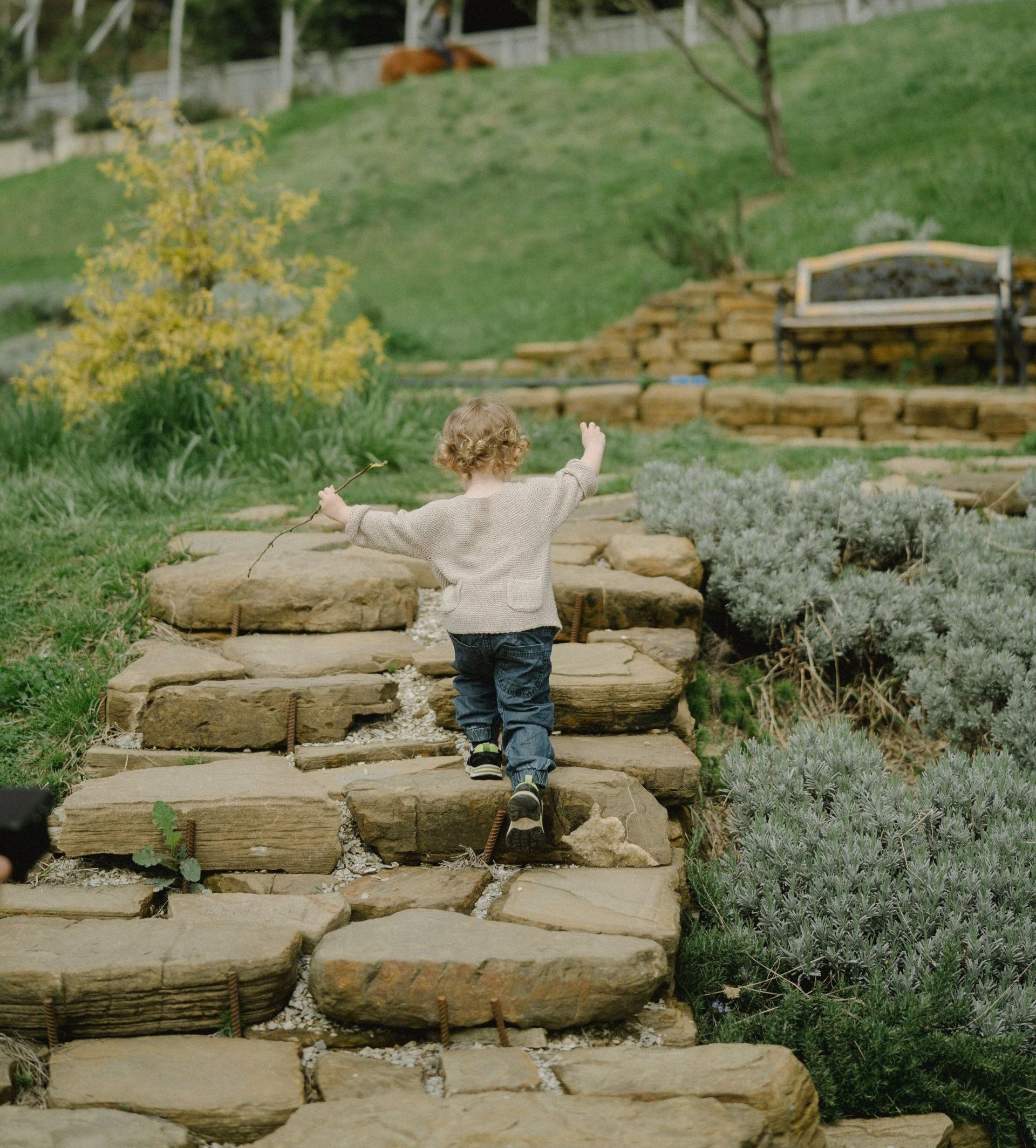 un petit garçon monte les escaliers en pierre dans un jardin