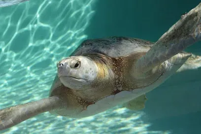 HWH San Diego Hard Money Lender - Real Estate emphasizes the balance of nature and community with landmarks like the Living Coast Discovery Center. The image showcases coastal wildlife, interactive exhibits, and the natural beauty of San Diego Bay.