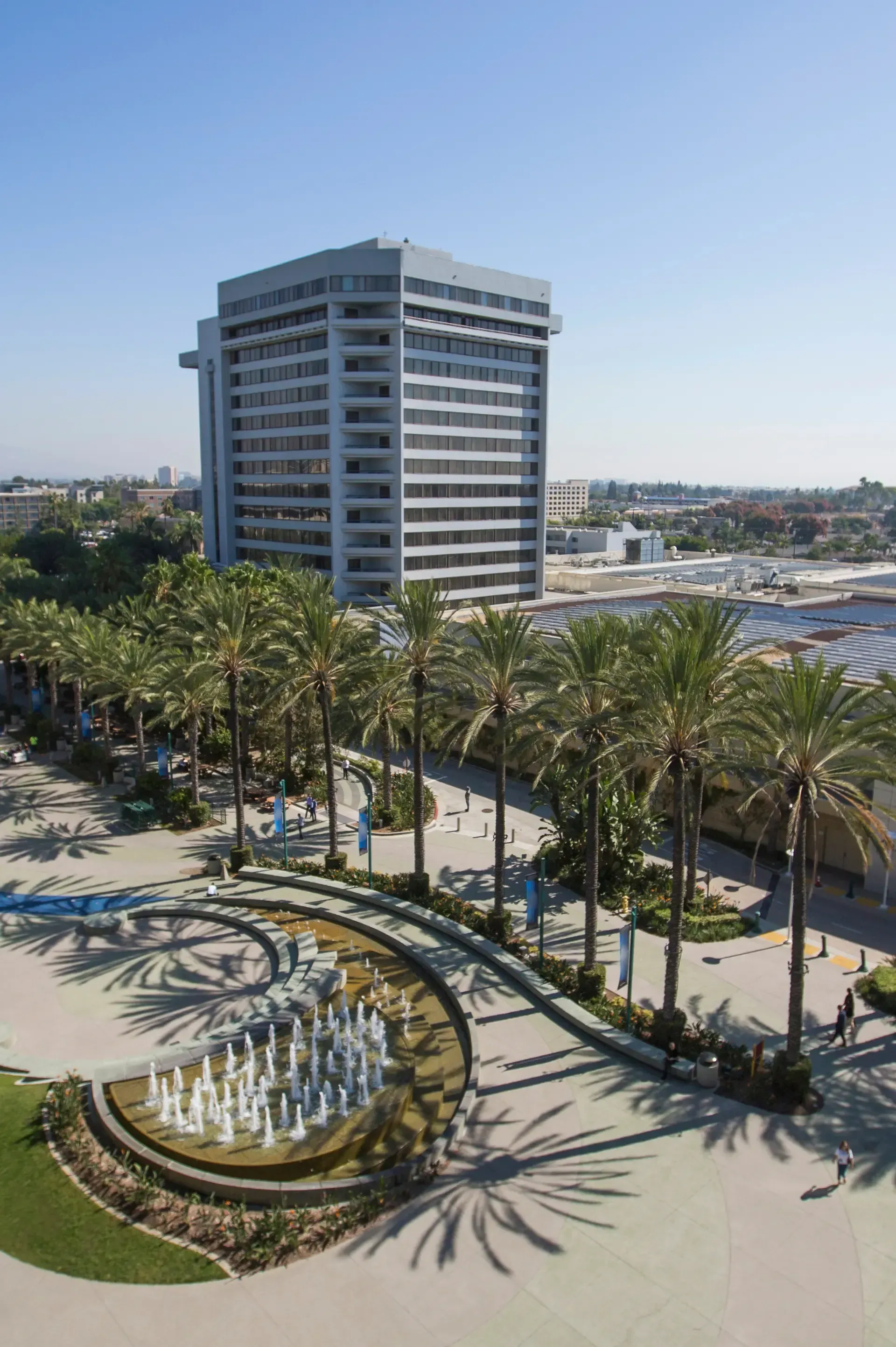 HWH San Diego Hard Money Lender - Real Estate captures a bright sunny day in Escondido, where palm trees line the streets and buildings stand against the clear sky.