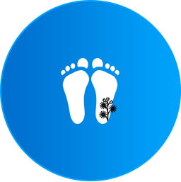 Foot Mobilisation Therapies