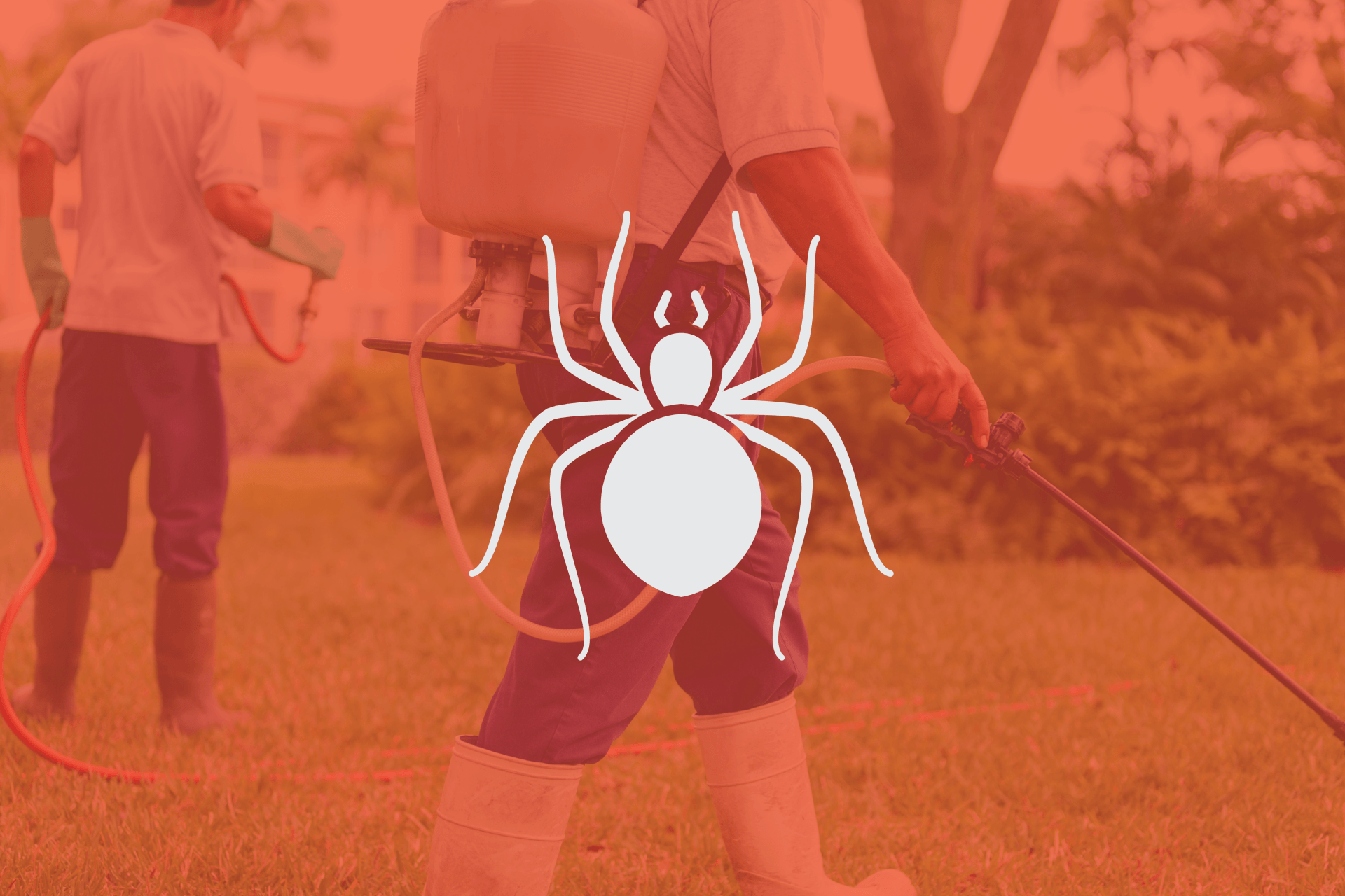 Pest Control Company l Bakersfield, CA l AB Pest Control