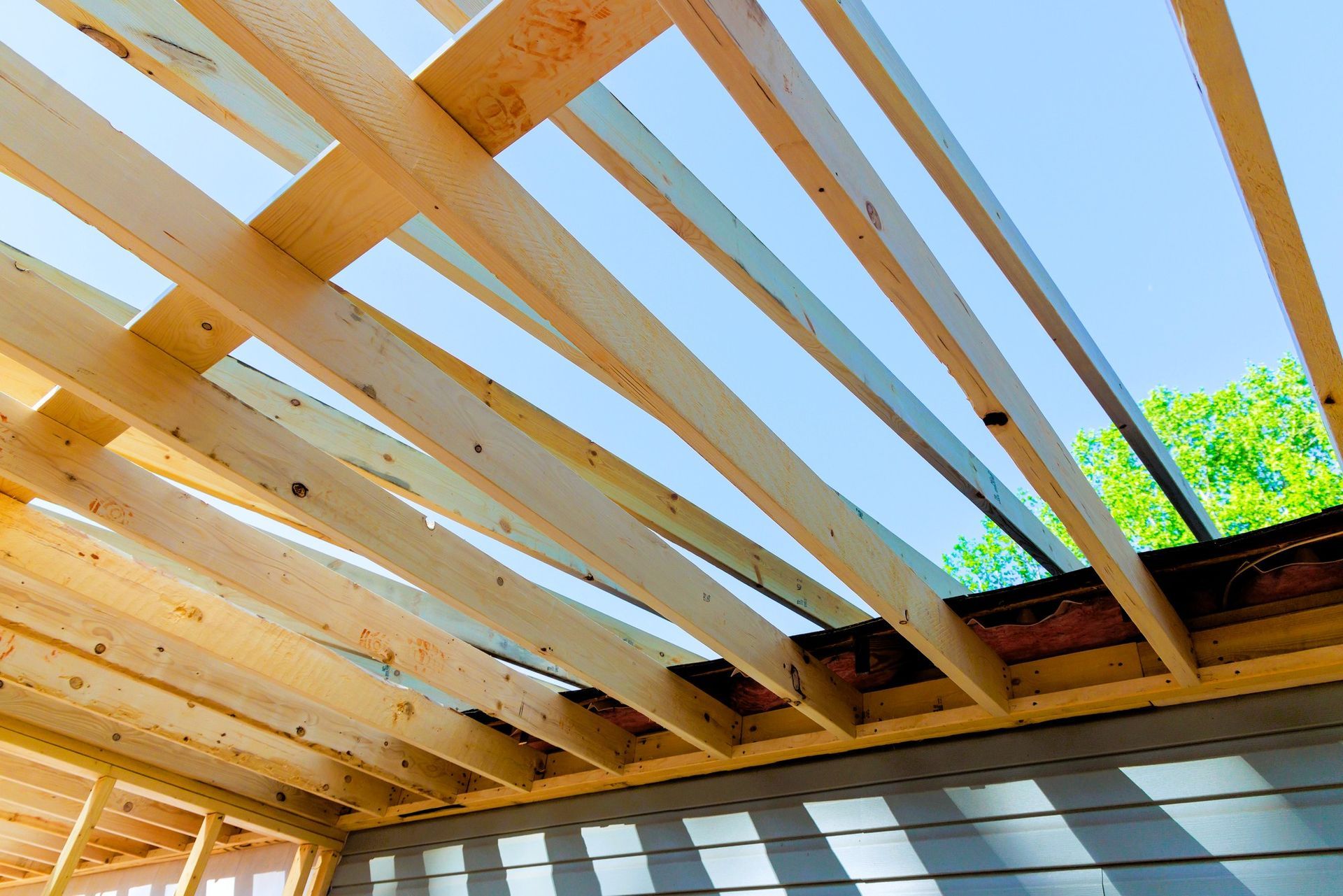 Wooden roof rafters made from eco-friendly materials with sunlight and trees in the background.