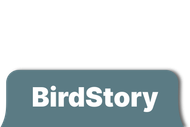 BirdStory text in white on a blue-green rounded rectangle with a white background.