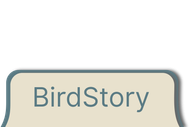 BirdStory text in white on a blue-green rounded rectangle with a white background.