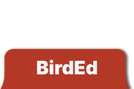 BirdEd logo in white text on a rounded, dark orange rectangle.