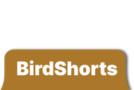 BirdShorts logo: white text on a brown rounded rectangle.
