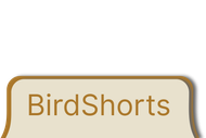BirdShorts logo: white text on a brown rounded rectangle.