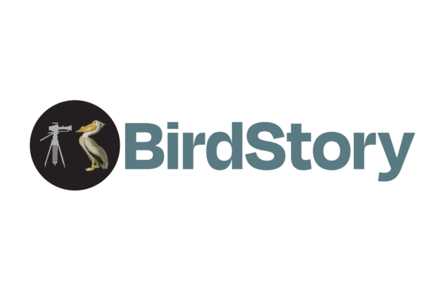 Birds of America