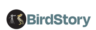 Birds of America Logo