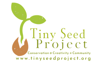 Birdstory at The Tiny Seed Project