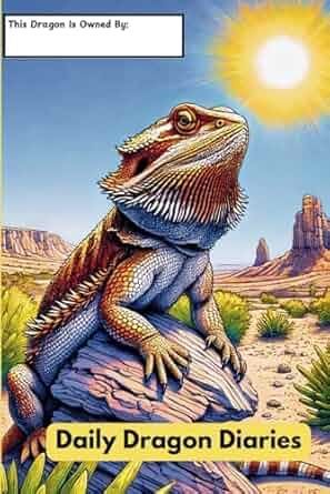 A bearded dragon is sitting on top of a rock in the desert.