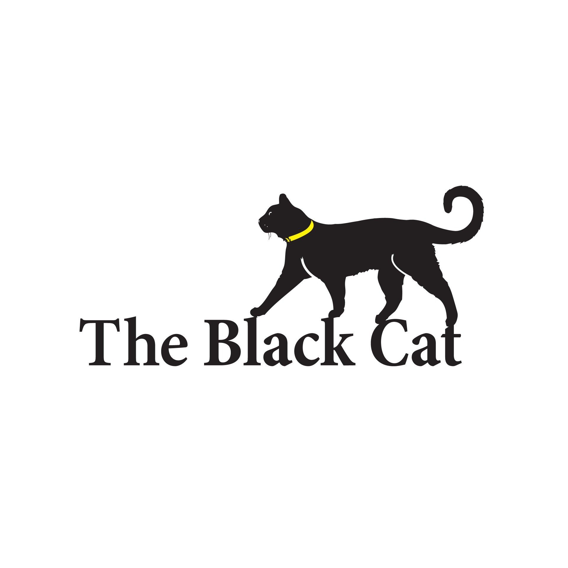 Кошка ростов. Кафе черный кот. Black Cat кафе. Black Cat Cafe. Kilkenny Cats.