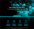 Website Design Kent WA