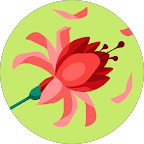 Flo Reta