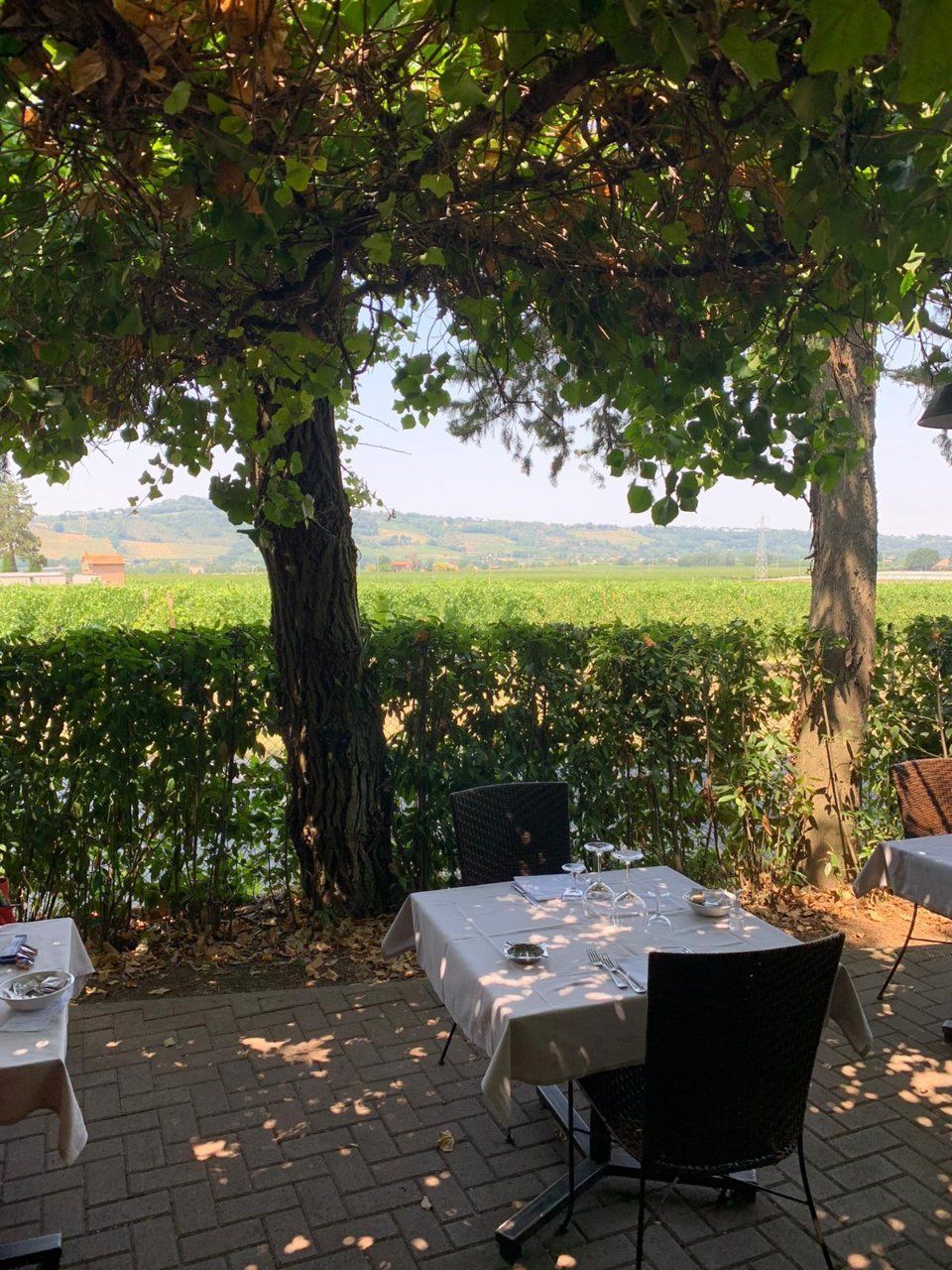 Tavolo all'aperto nel verde