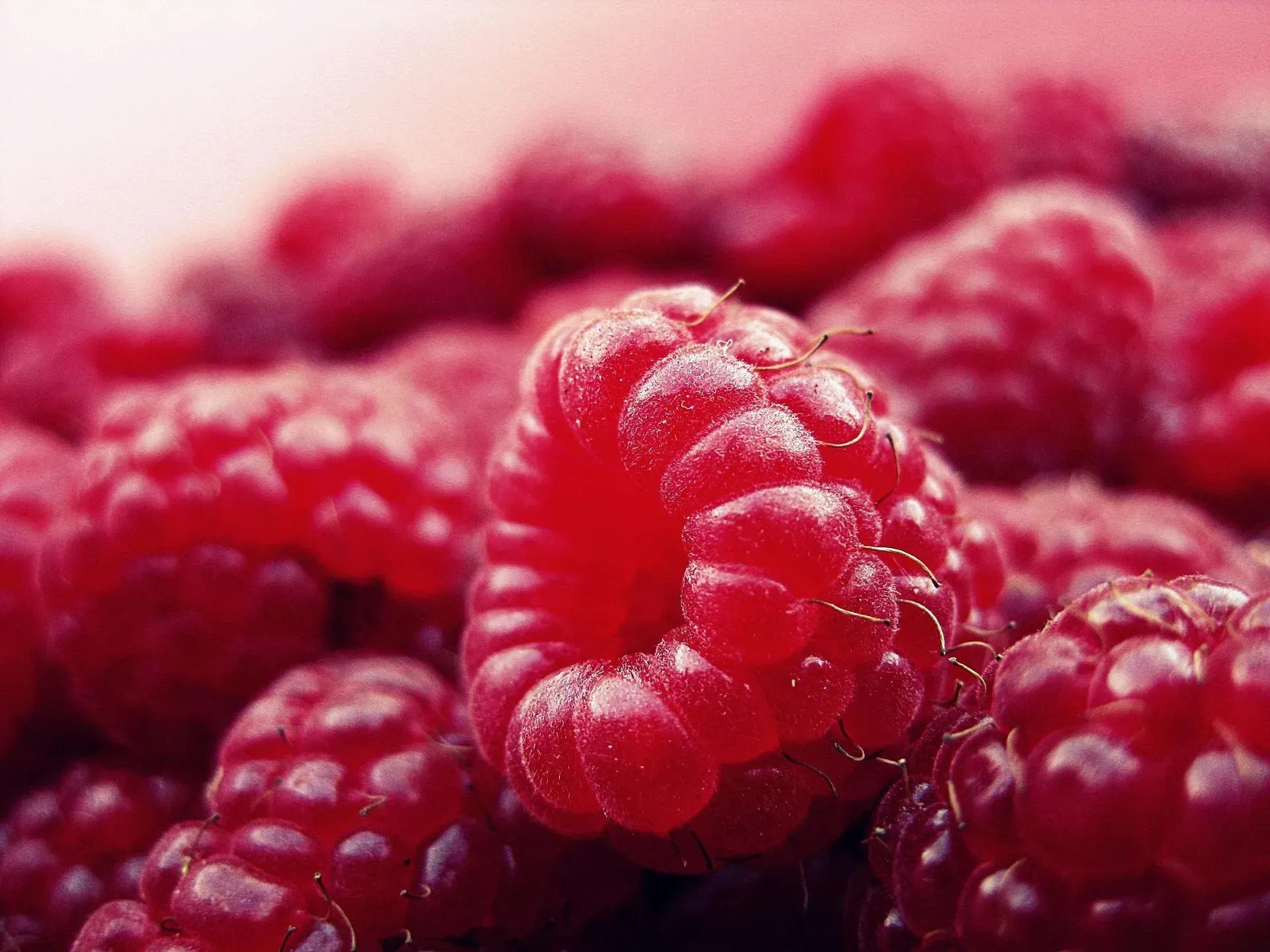 Close-up of fresh red raspberries, with one in sharp focus against a blurred background.