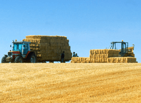  Tractor carrying hay bails in a field