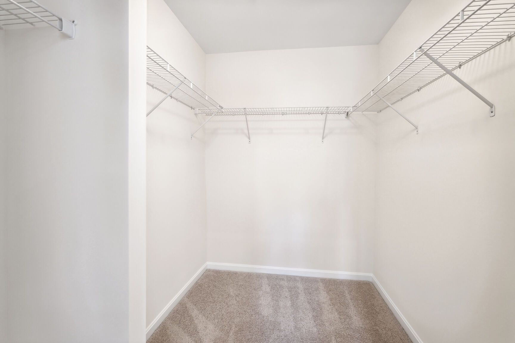 An empty walk in closet with a carpeted floor and wire shelves.