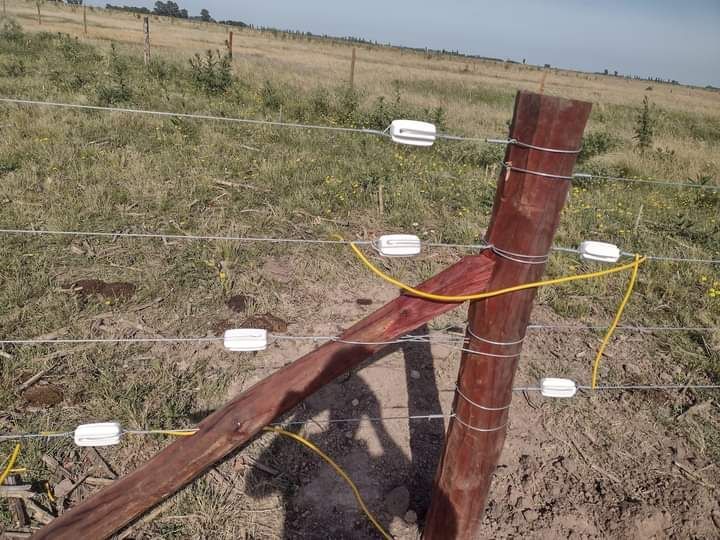 Poste de madera con alambre de cerca eléctrica y aisladores en un campo.