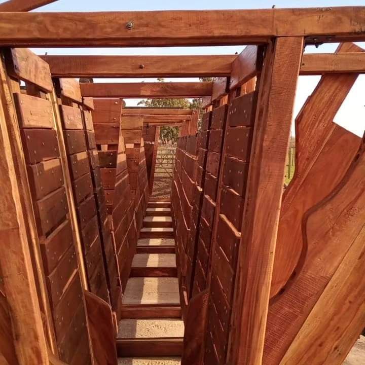 Estructura de túnel de madera con paredes de listones y pasarela, vista desde el interior.