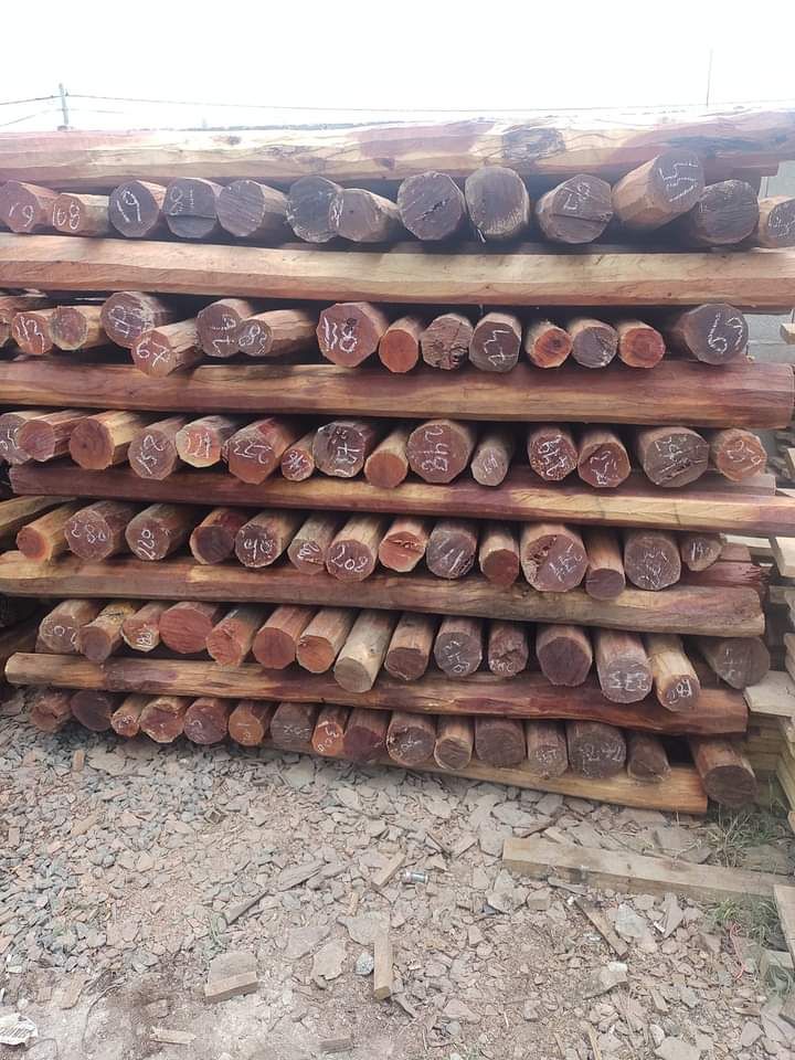 Pila de troncos numerados y apilados de color marrón oscuro, posiblemente para construcción.