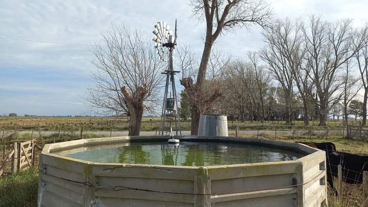 Molino de viento sobre un gran abrevadero en un entorno rural; árboles desnudos, campos, cielo azul.