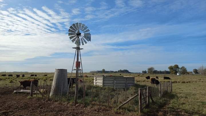 Molino de viento en un pastizal con ganado bajo un cielo azul nublado.