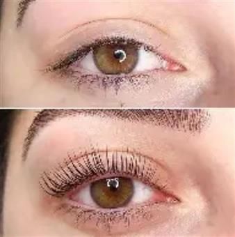 Before and after comparison of a brown eye with lash lift: top, short lashes; bottom, long, curled lashes.