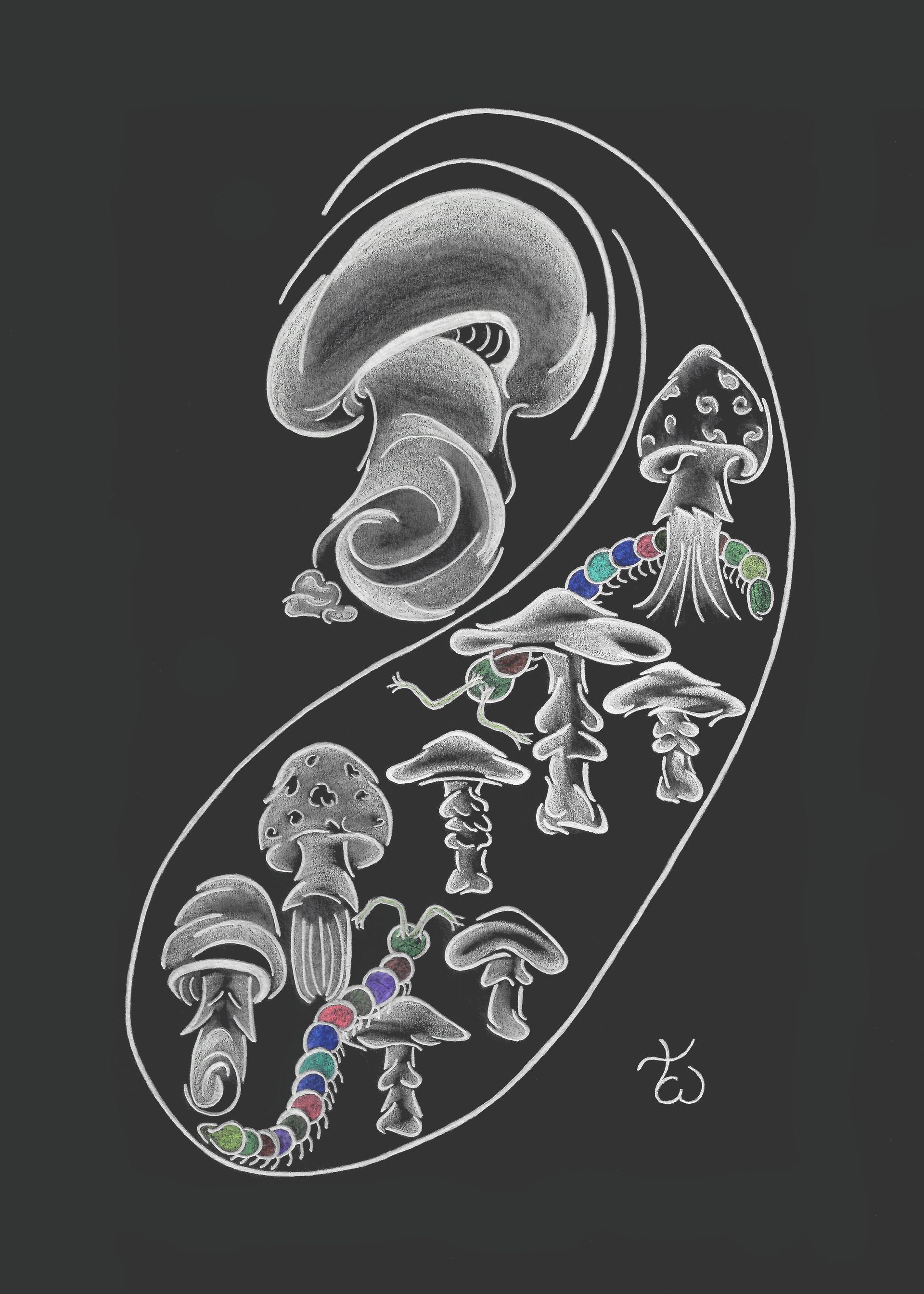 Dew Drop Mushrooms (Prints)