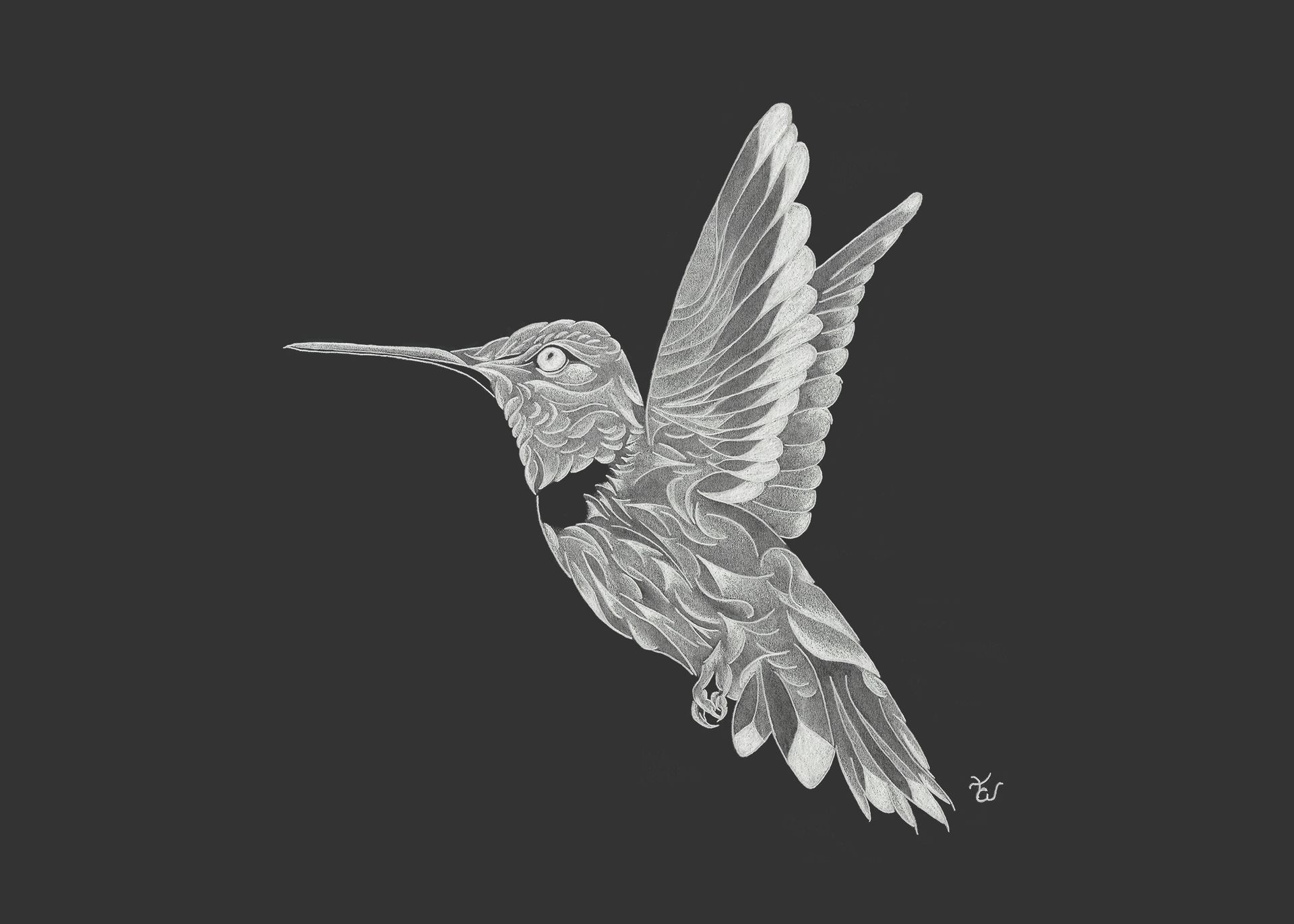 Hummingbird One (Prints)