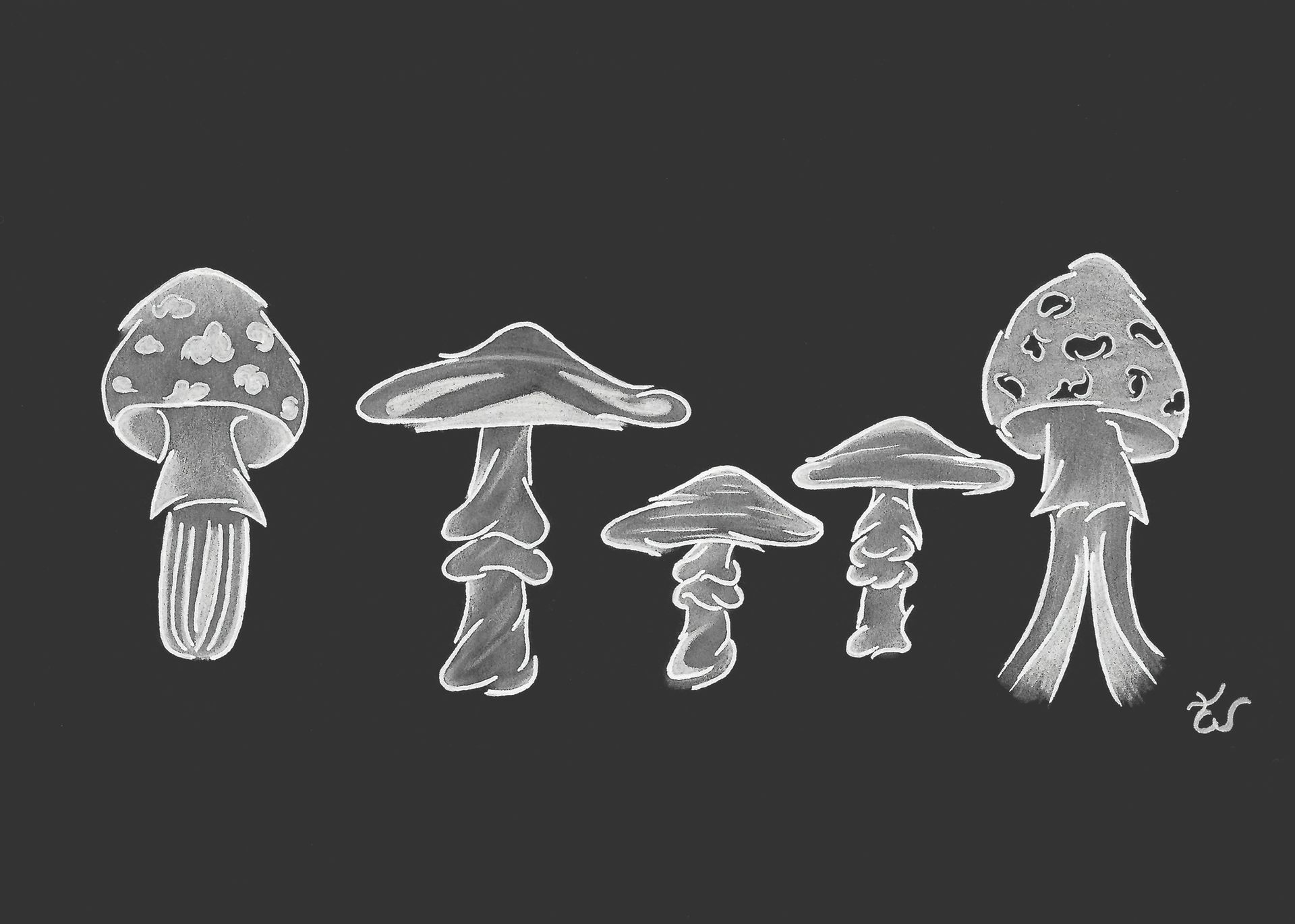 The Unusual Mushrooms (Prints)