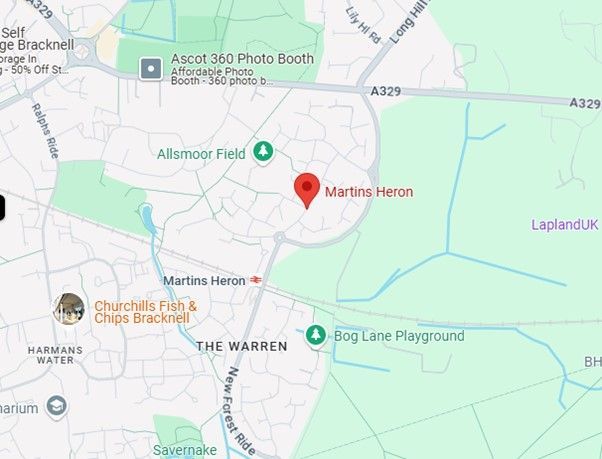 Helium Balloon Delivery Maidenhead