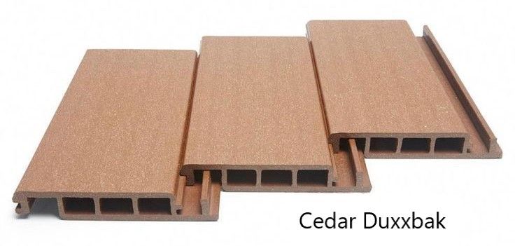 cedar duxxback