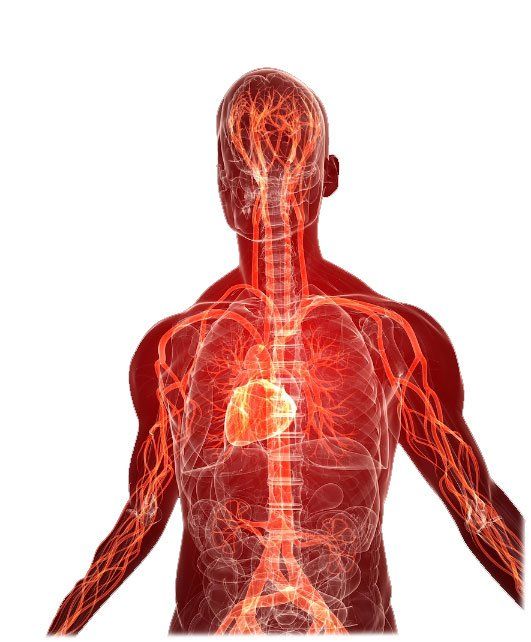 Electricity and anatomy illustration