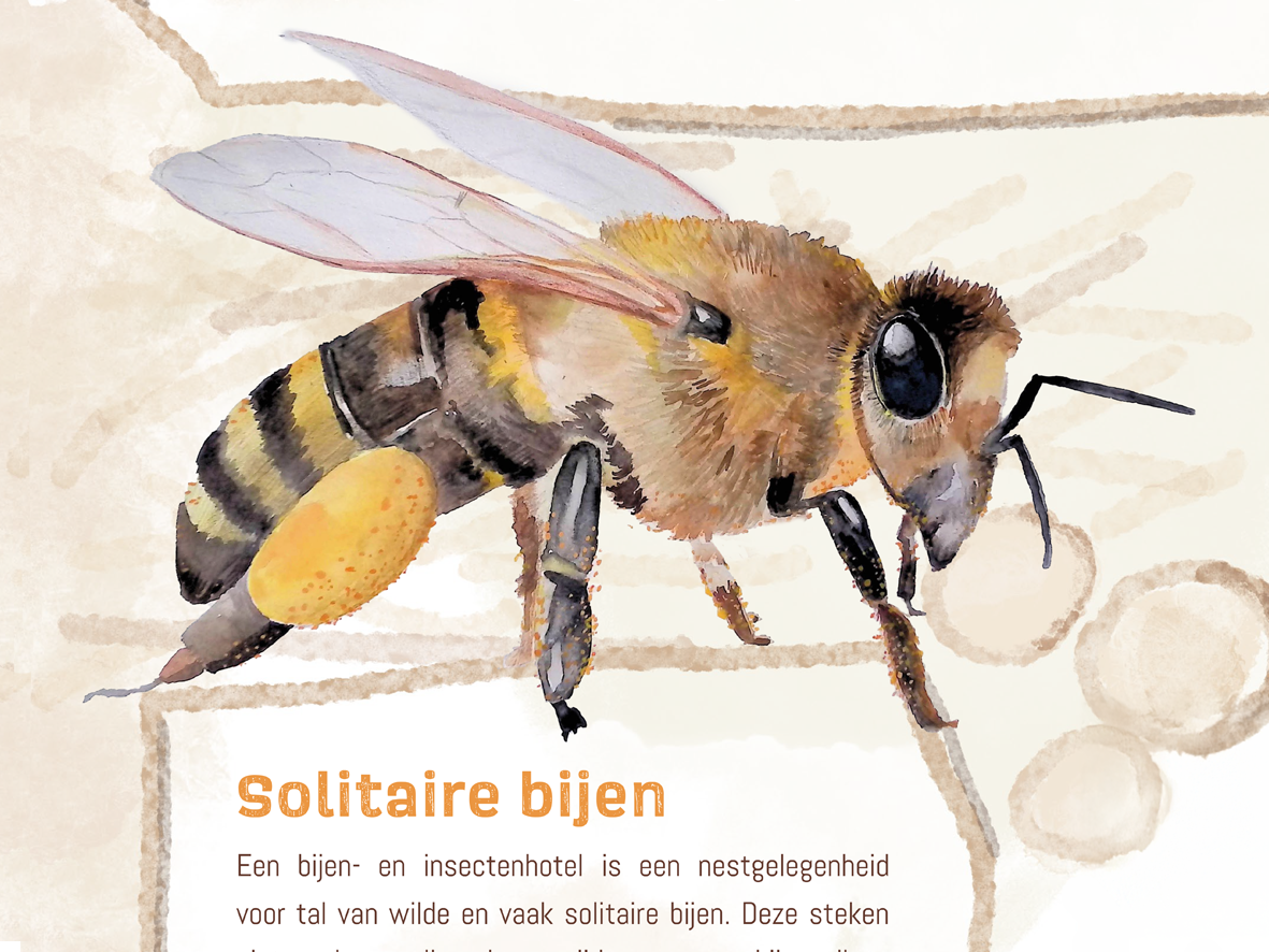 Een afbeelding van een bij met daaronder de woorden solitaire bijen