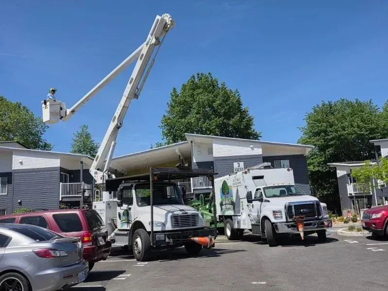 Utility trucks with a bucket lift in a parking lot, one crew working near a building under a blue sky