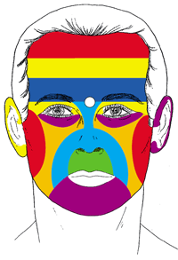Diagram of a face with color-coded zones, possibly for health or wellness, with each area highlighted in a different color.