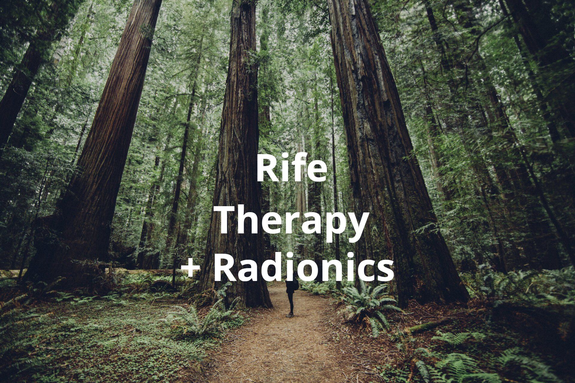 Person walking on path through redwood forest, text overlay reads: 