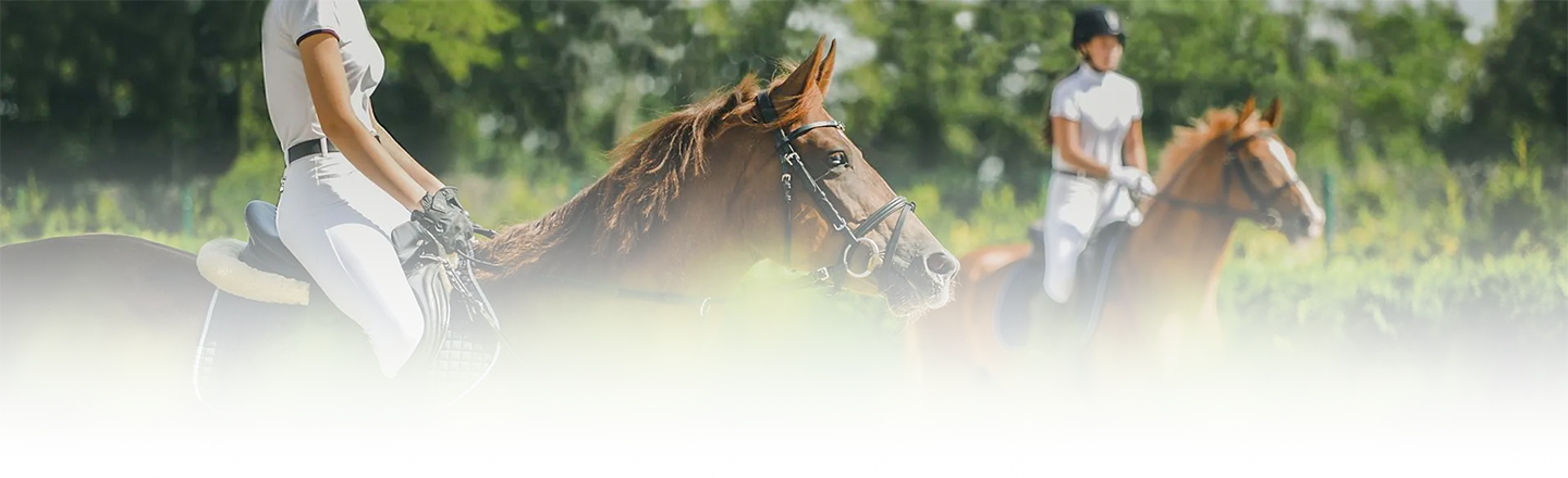 Duas pessoas estão andando a cavalo em um campo.